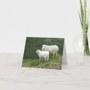 Carte Mignons blancs, Pays de Galles du Nord, Grande-Bre