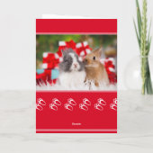 Carte Mignons lapins photo Hoppy Noël plié (Dos)