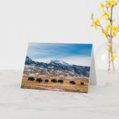 Carte Migration de bison (Fleur jaune)