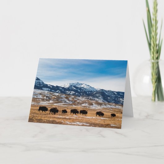 Carte Migration de bison (Devant)