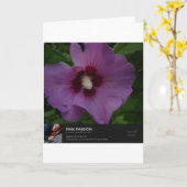 Carte Miles Apart (Fleur jaune)