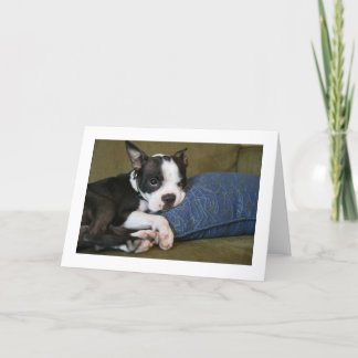 Carte Miley est ennuyé