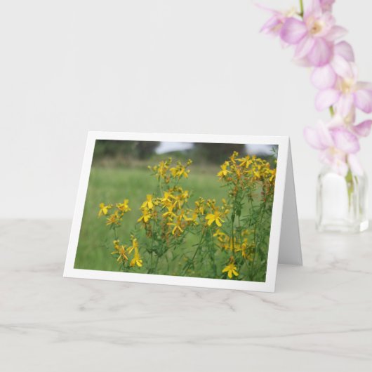 Carte Millepertuis perforé en fleurs (Orchidée)