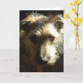 Carte Milles (Fleur jaune)