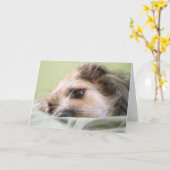 Carte Milles considérant (Fleur jaune)