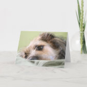 Carte Milles considérant (Devant)