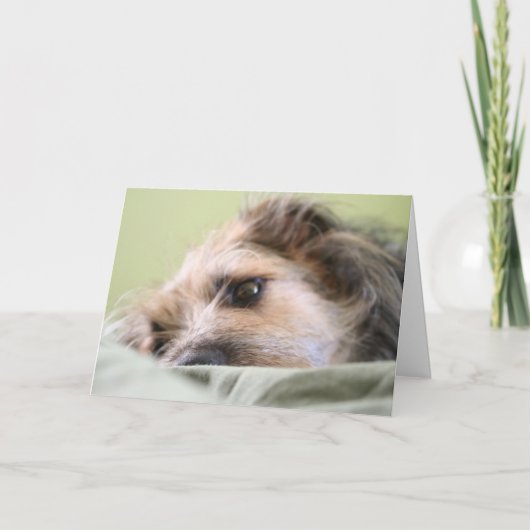 Carte Milles considérant (Devant)