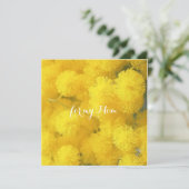 Carte Mimosa. Fleurs de printemps jaunes. (Debout devant)