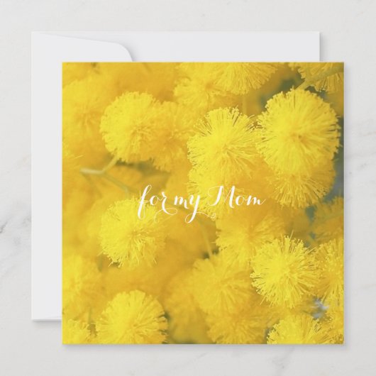 Carte Mimosa. Fleurs de printemps jaunes. (Devant)