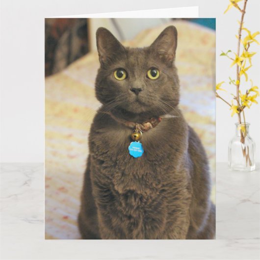 Carte Mims (Fleur jaune)