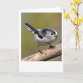 Carte Min à queue longue. (Fleur jaune)