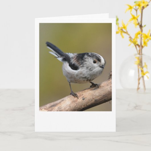 Carte Min à queue longue. (Fleur jaune)