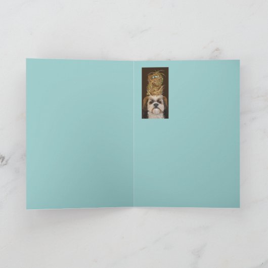 Carte Mingzhu (Intérieur)