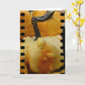 Carte Mini Citrouilles (Fleur jaune)