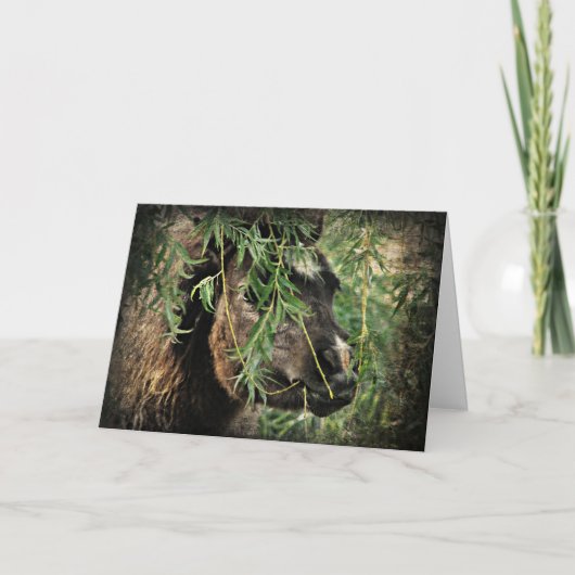 Carte Mini Être Onery, Anniversaire (Devant)