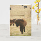 Carte Mini Foal Tirant Ses Talons (Fleur jaune)