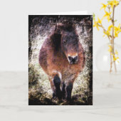 Carte Mini Mare Grunge, Anniversaire (Fleur jaune)