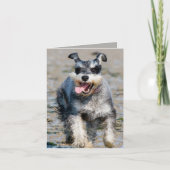 Carte mini schnauzer en fonctionnement (Devant)