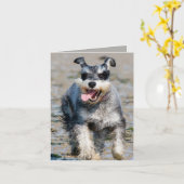 Carte mini schnauzer en fonctionnement (Fleur jaune)