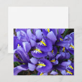 Carte Miniature Bleu Irises Printemps Floral (Devant / Derrière)