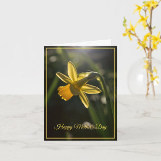 Carte Miniature Daffodil Mother's Day
