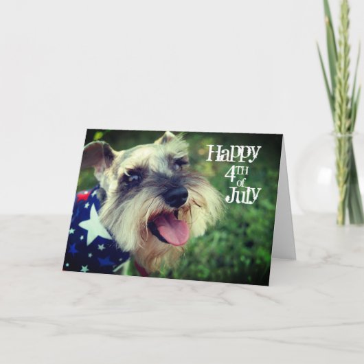 Carte Miniature Schnauzer Happy 4 juillet (Devant)