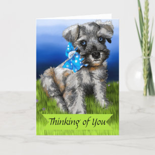 Carte Miniature Schnauzer Puppy Penser de vous