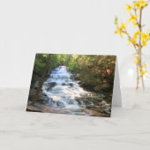 Carte Minnehaha (Fleur jaune)