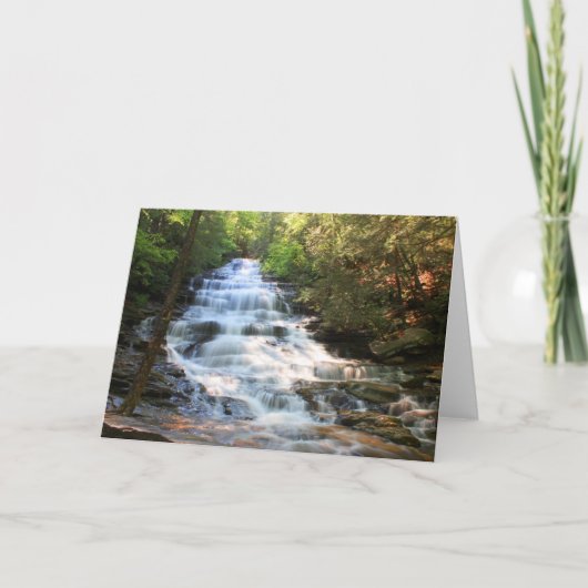 Carte Minnehaha (Devant)