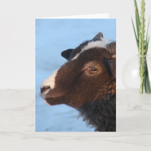 Carte Minuscule (Devant)