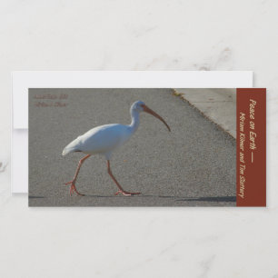 Carte Miriam 2019 uniquement