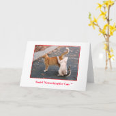 Carte Mise en réseau sociale pour le blanc de chats à (Fleur jaune)