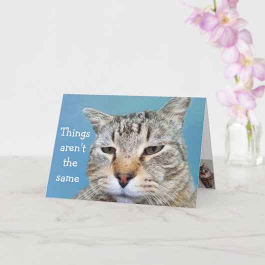 Carte Miss Chat Lonely (Orchidée)