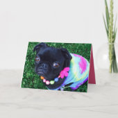 Carte Miss Harley Greeting (Devant)