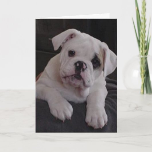 Carte Miss Nala (Devant)