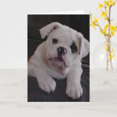 Carte Miss Nala (Fleur jaune)