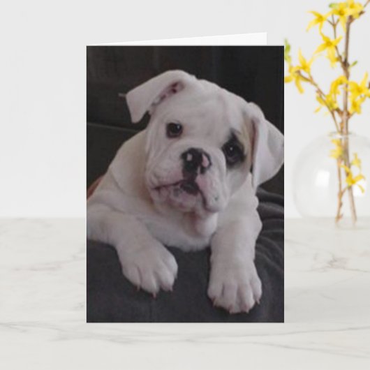 Carte Miss Nala (Fleur jaune)