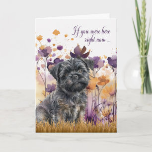 Carte Miss Vous Affenpinscher Chien Fleur sauvage Meadow