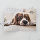 Carte Missing You How are You Sad Lonely Cute Dog (Intérieur)
