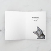 Carte Missing You Thinking of You Curious Cat (Intérieur)