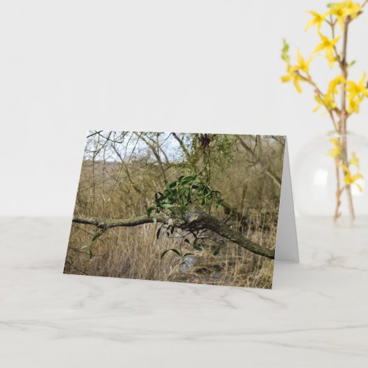 Carte Mistletoe (Fleur jaune)