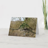 Carte Mistletoe (Devant)