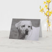 Carte Misty (Fleur jaune)