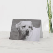 Carte Misty (Devant)