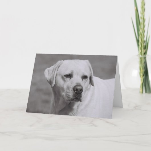 Carte Misty (Devant)