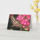 Carte Mite de colibri (Fleur jaune)