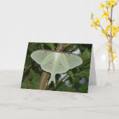 Carte Mite de Luna (Fleur jaune)