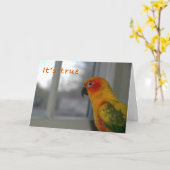 Carte Mlle (Fleur jaune)