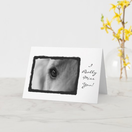 Carte Mlle que vous cardez (Fleur jaune)