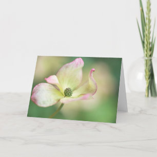 Carte Mlle Satomi'de Kousa de cornus de la fleur de